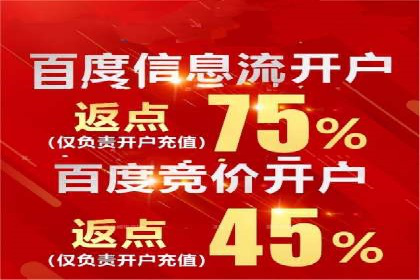 竞价排名在搜索引擎营销中的运用案例